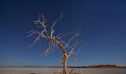 Мъртво море в Америка: Солтън Сий, Калифорния
