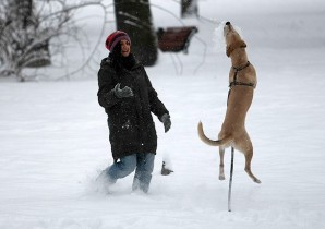 Снимка на деня