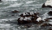 Морската буря "изяде" плаж край Каварна