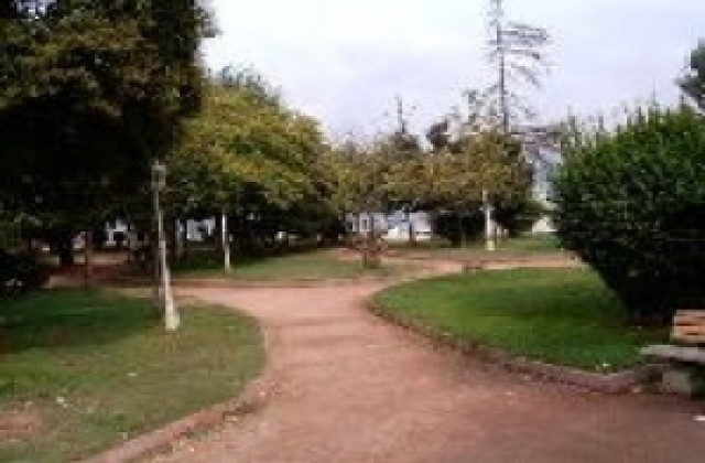 В Дунавската градина в Силистра ще садят кипариси