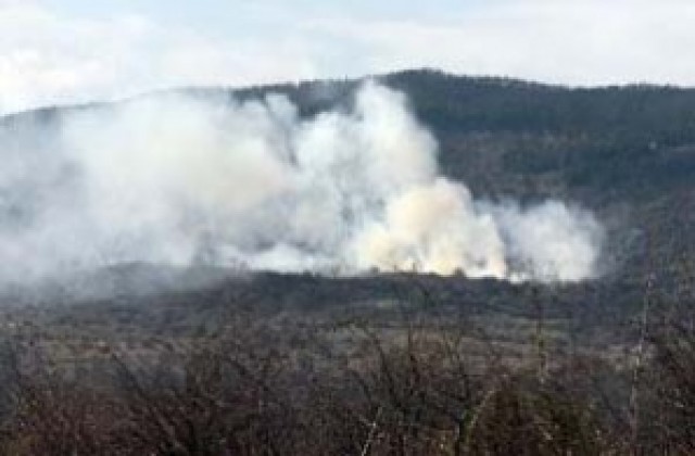 Пожар вилня в Люлин планина