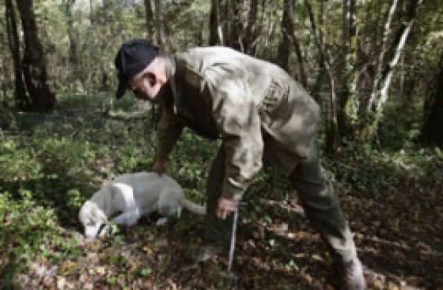 Ловците предават дивеч на ветеринарите