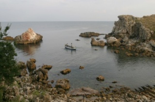 Научен кораб ще изследва екосистемите в Черно море