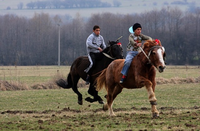 Конни състезания се проведоха на Тодоровден в страната