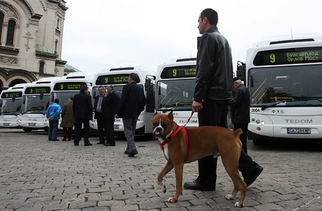 Ръст на билета след цялостно обновление на транспорта в София
