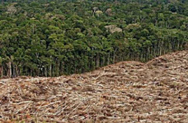 Бразилия учреди фонд за спасяване на Амазония