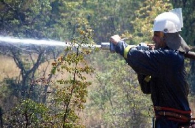 Продължават опитите да бъде овладян пожарът в Свиленградско