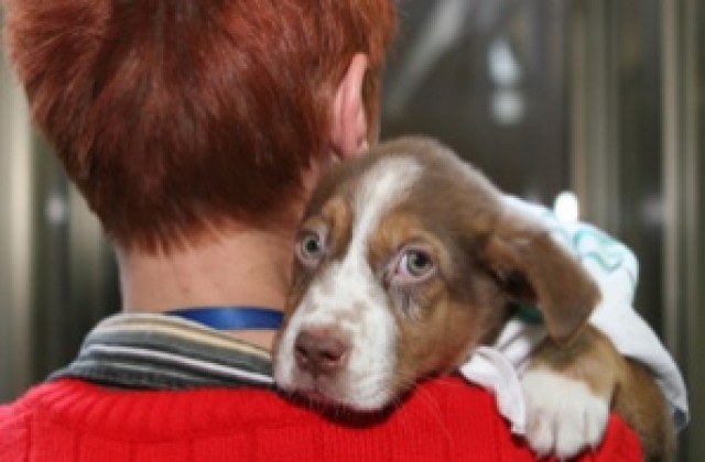 Откриват нарушители чрез ДНК от кучешки екскременти