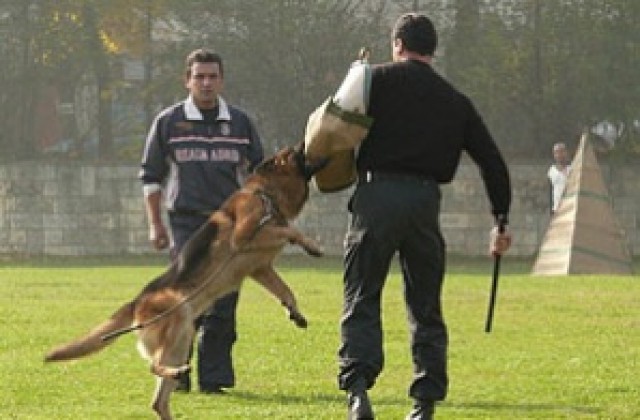 Полицейски кучета показаха умения на семинар в Шумен