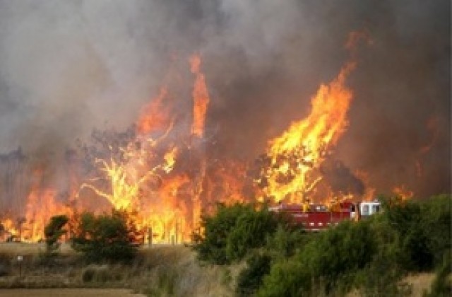 Хиляди пожарникари се борят с огнената стихия в Австралия