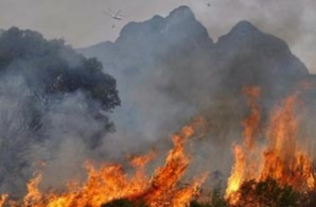 Пожар уби златотърсачи в ЮАР