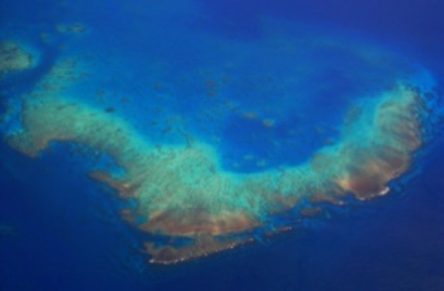 Австралийското правителство ще реанимира Големия бариерен риф