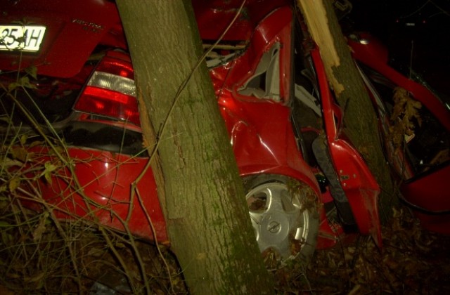 Кола се блъсна в дърво, пътник загина в Разградско