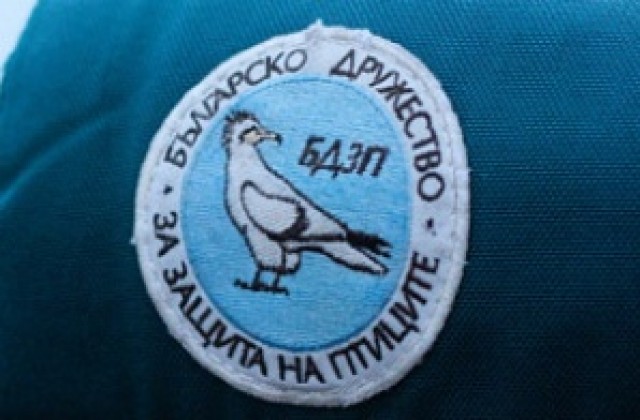 Зимуващите в България птици намаляват, ловците трябва по-добре да пазят дивеча си