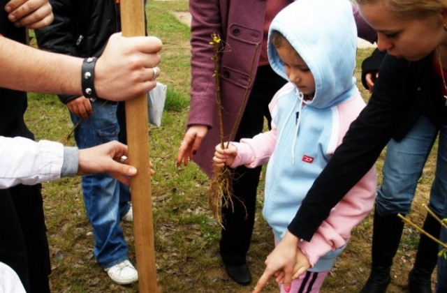 Млади еколози стартират инициатива „Засади дърво - дай живот”