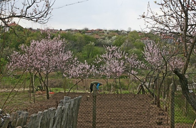 Облачно ще е времето в региона