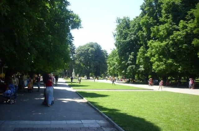 Вълшебната завеса гостува на плевенските деца