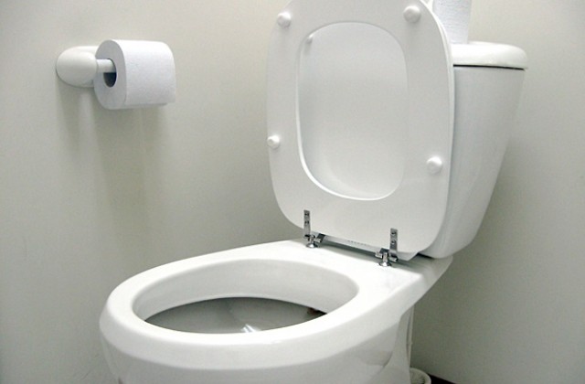Кралски питон изплува в тоалетна в Милано