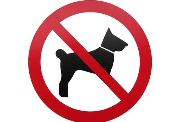 Дания забрани отглеждането на 12 породи кучета