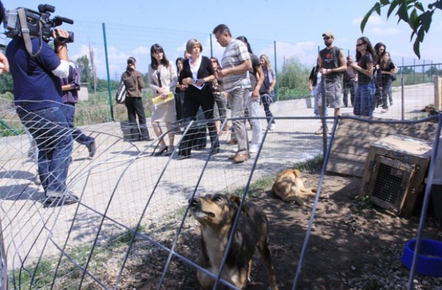 Изграждат приют за 1000 кучета в столичния район „Надежда