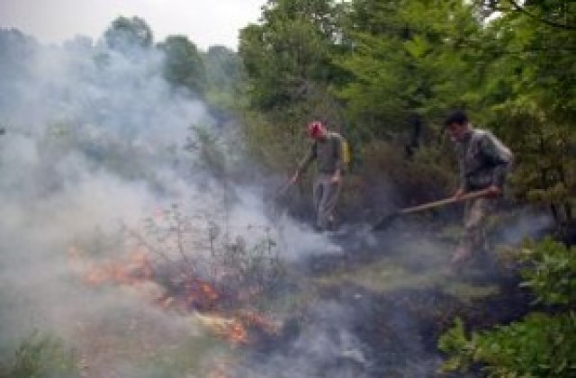 Кръгла маса за превенция на горските пожари