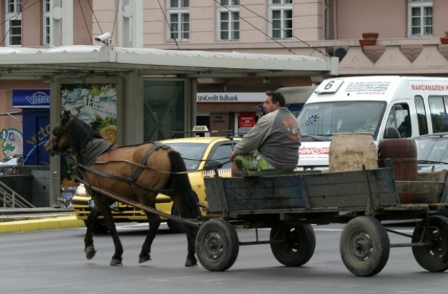 Наказателен паркинг за бездомните коне в София