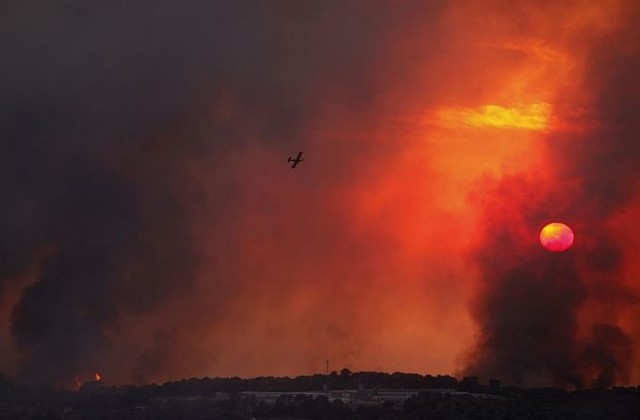 Десетки хора са загинали при голям пожар край Хайфа