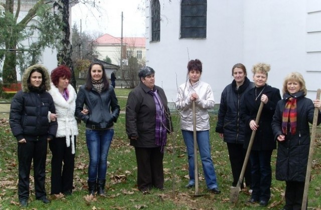 Жени ГЕРБ Червен бряг засадиха дървета за Никулден