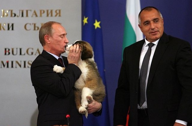 Кученцето на Путин, подарък от Борисов, ще се казва Бъфи