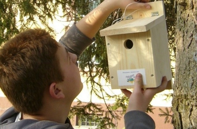 Деца поставят къщички за птици