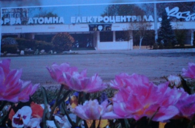 АЕЦ отбеляза Деня на енергетика