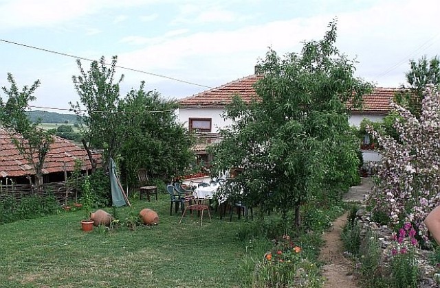Крави или апартамент – за избора на хората, тръгнали да гледат биоживотни в България