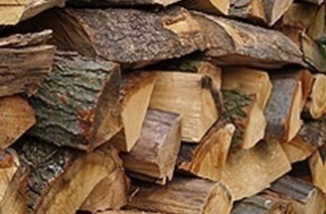Добивът на дървесина от частни гори под контрола на горските структури