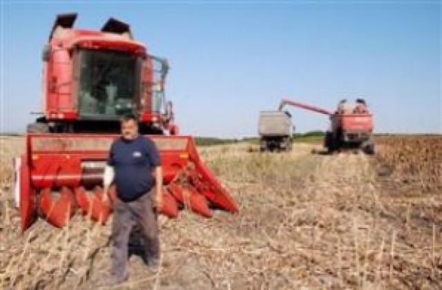В Търговищка област прибират слънчоглед и царевица, сеят есенници