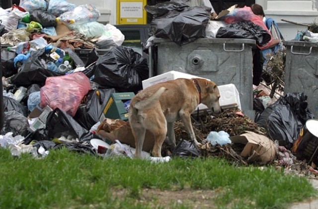 Окончателно: Депото за битови отпадъци ще бъде в Шереметя