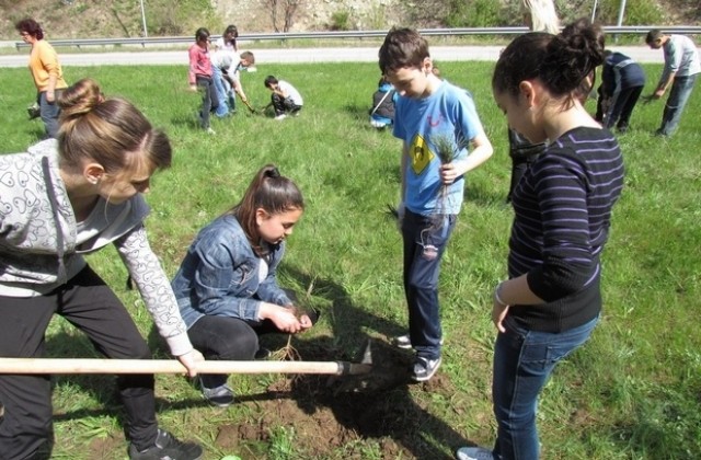 Великотърновски ученици засадиха фиданки за Деня на Земята