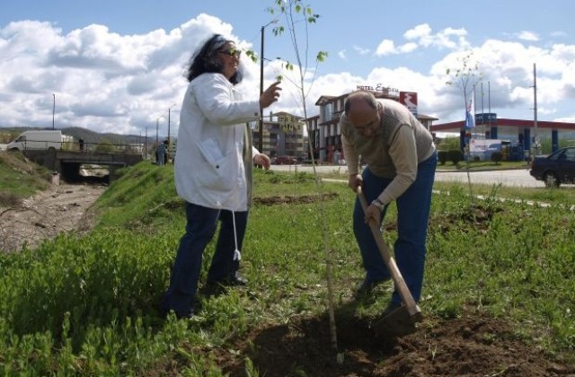 100 дръвчета засадиха в Благоевград  за  Деня на Земята