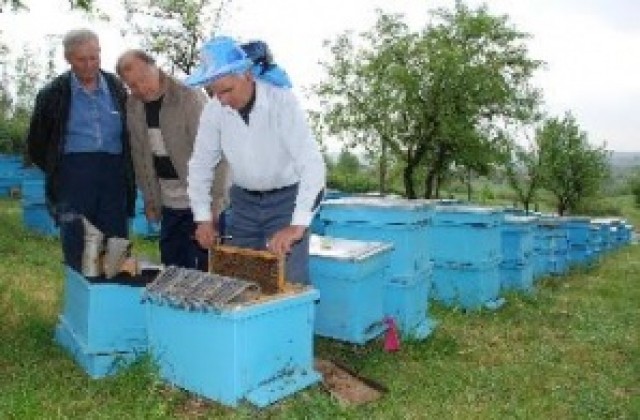 Пчелин и ферма за калифорнийски червеи искат да правят в ловешко село
