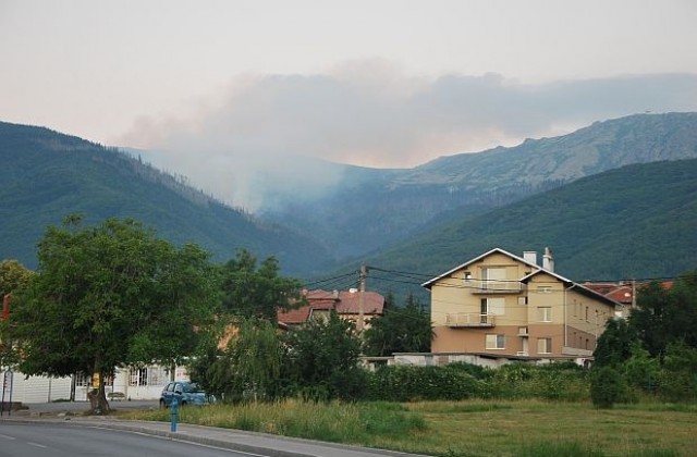 Огънят в планината не е стигнал до живата гора, увери Нона Караджова