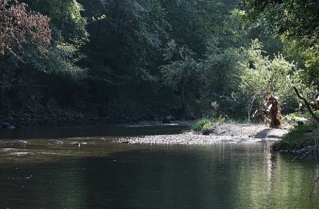 РИОСВ: Река Струмешница не е замърсена