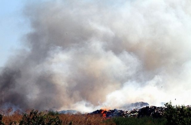 Близо 10 000 декара са изгорели при пожара край Нова Загора