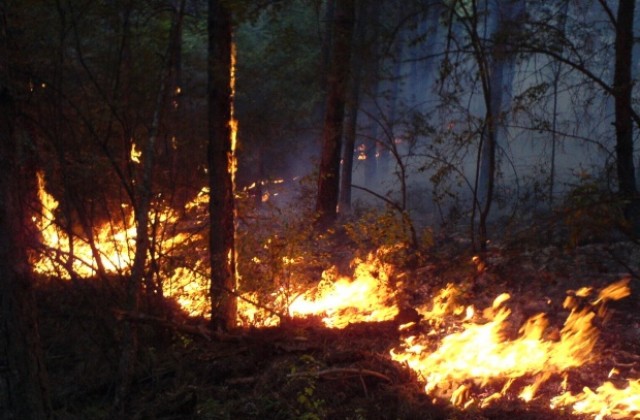 Почти всички пожари в региона са в следствие на човешка намеса