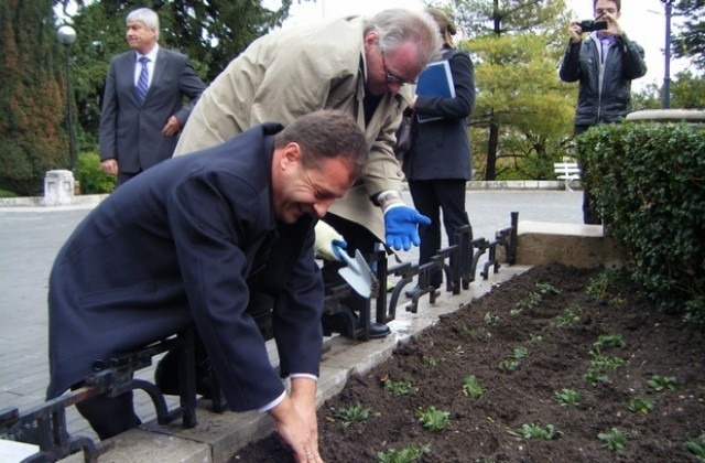 Посланик и кмет засадиха холандски лалета край паметник Майка България