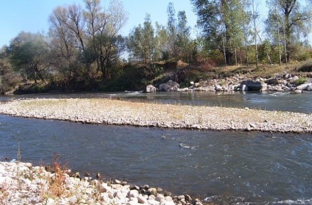 Измряла риба изплува край Долна Оряховица, няма замърсяване на реката