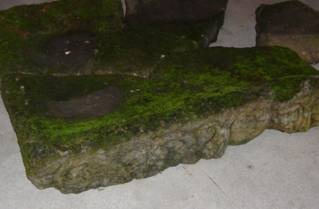 В Поповско откриха древноримски жертвеник от храм на бог Дионисий