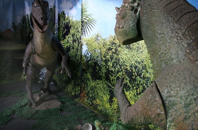 Испански учени създадоха 3D изображение на мозъка на динозавър