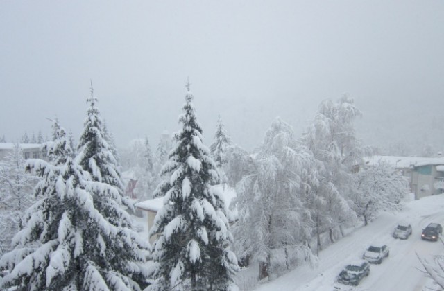 Сняг вали в Смолян и Чепеларе, във високите части само час натрупа нови 10 см