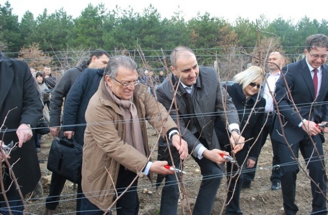 Цветанов заряза с експремиер на Турция лозята край Харманли