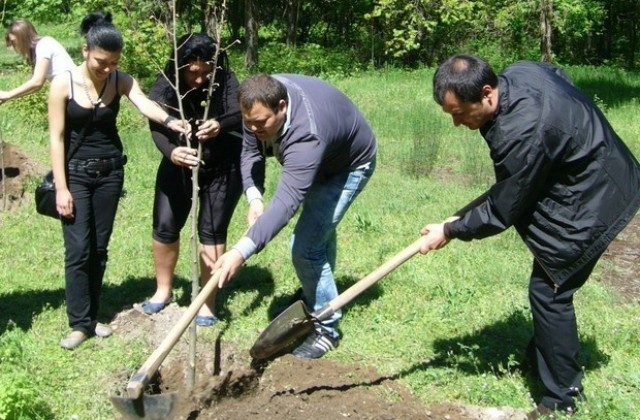 Засаждат 100 дръвчета в две димитровградски училища