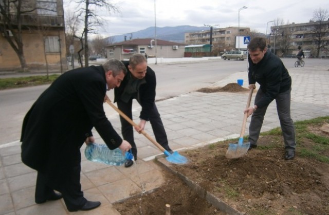 Петър Паунов, Владислав Стойков и Иван Андонов засадиха пауловния